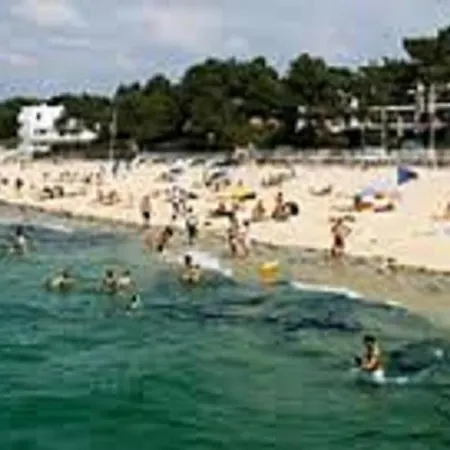Appartement Arcachon, 1 Piece, 4 Personnes - Fr-1-374-13 Arcachón